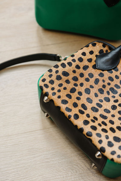The Postcall | Wild Cheetah