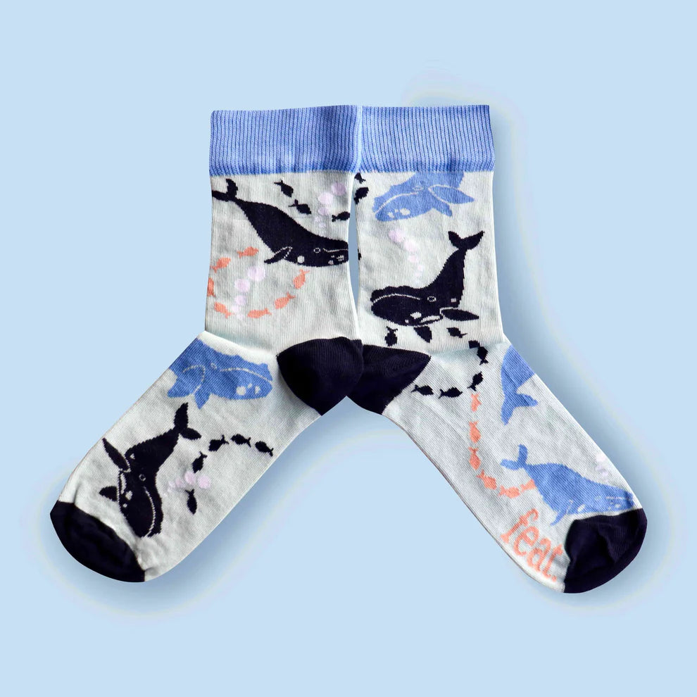 Ladies’ Whale Away socks | Southern Right Whale socks