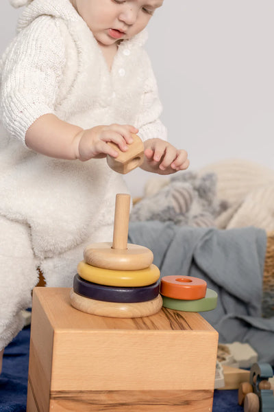 Ring Stacker (LG)