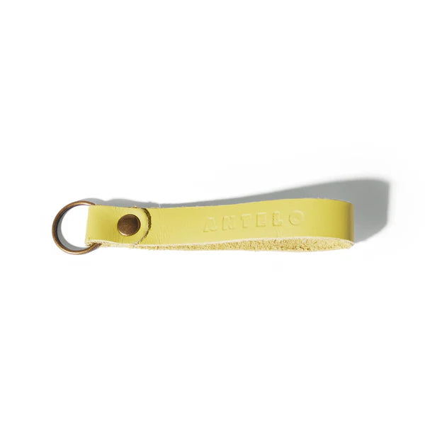 Apollo leather keyring - various colours