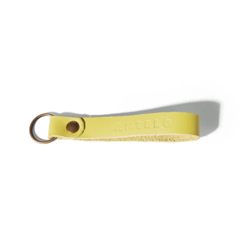 Apollo leather keyring - various colours