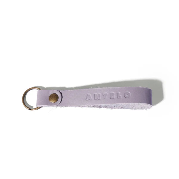 Apollo leather keyring - various colours