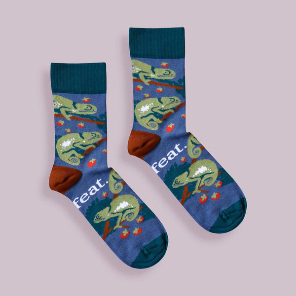 Ladies’ Chameleon socks | Flap-necked chameleon from South Africa