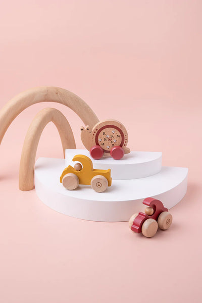 Push Car Snail