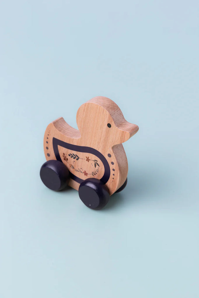 Push Car Bird