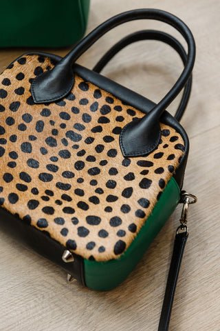 The Postcall | Wild Cheetah