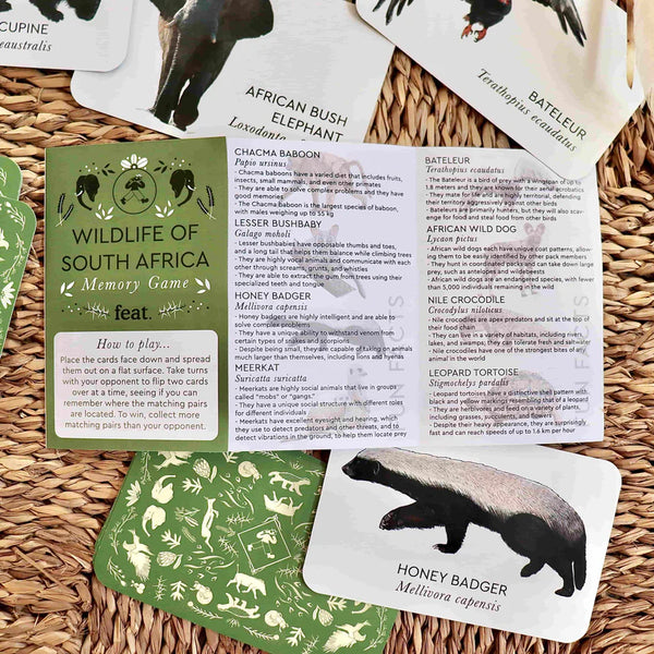 Wildlife of South Africa Memory Game