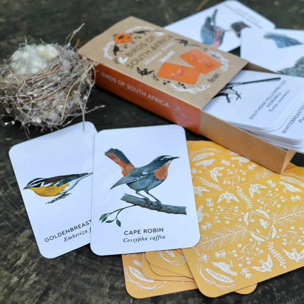 Birds of South Africa Memory Game